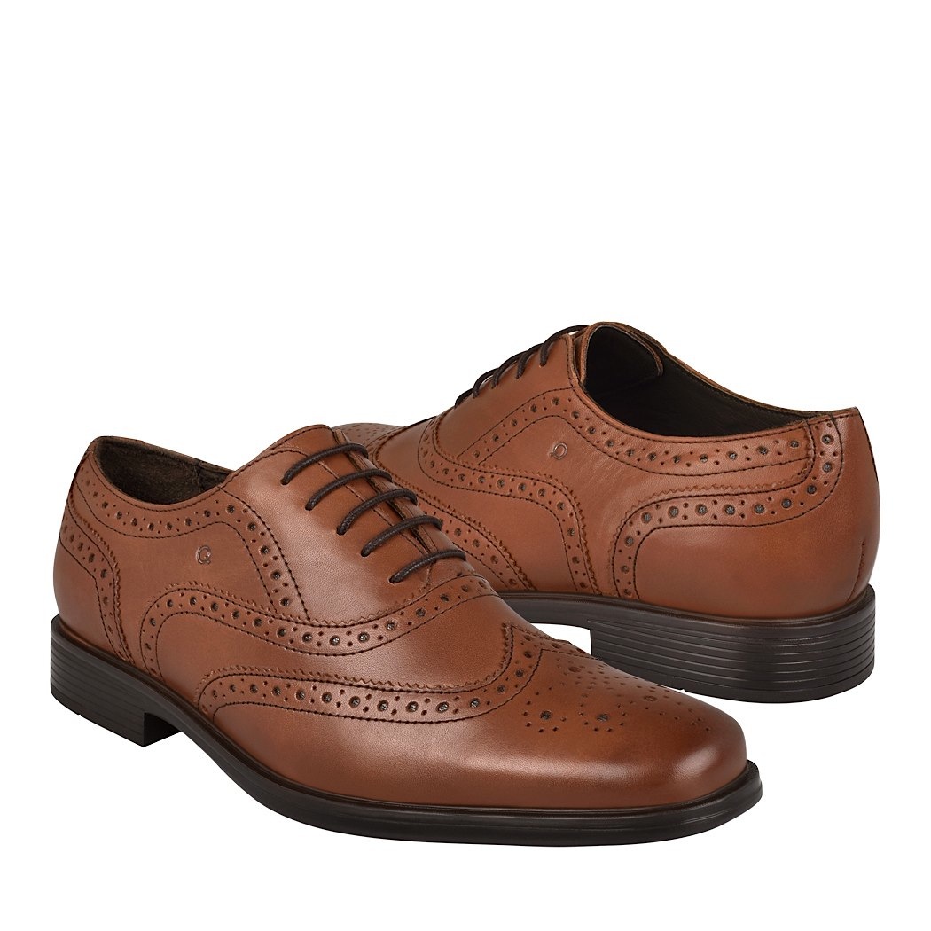 pappomania.com : Zapatos de vestir para caballero quirelli 88506 café