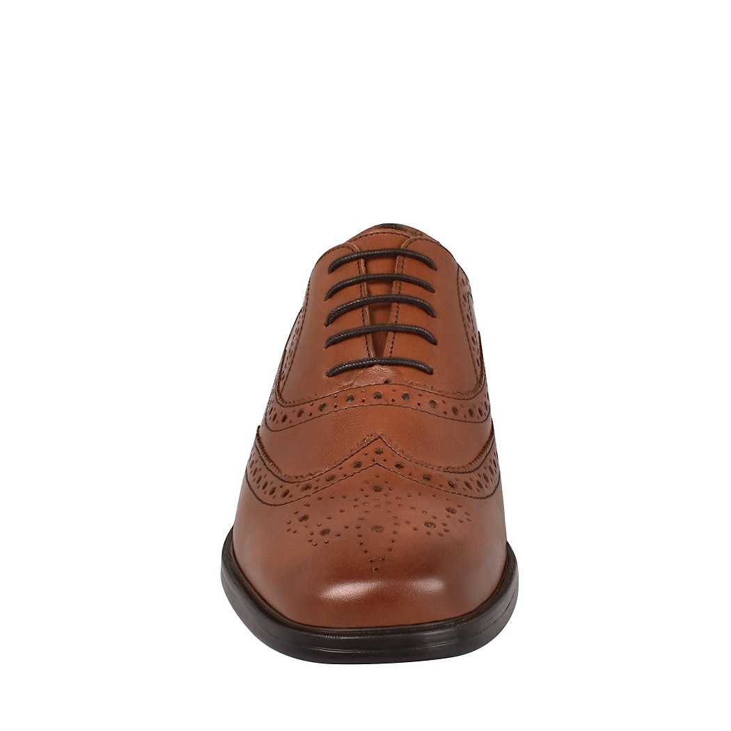 pappomania.com : Zapatos de vestir para caballero quirelli 88506 café