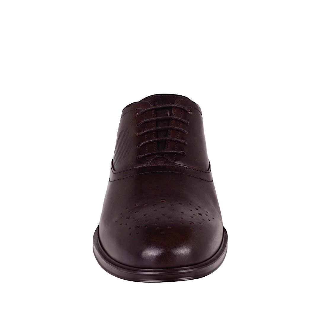 pappomania.com : Zapatos caballero quirelli 701502 piel café